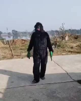 నిజాంపేట్: మానేపల్లి గ్రామంలో కోతులను బెడద తీరేందుకు చింపాంజీ వేషం