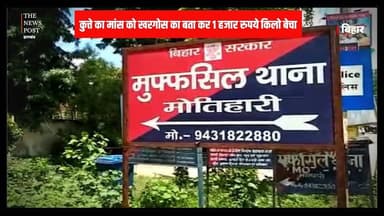 गजबे है.... कुत्ते को काट कर मांस बेचा फिर शराब खरीद कर दोस्तों के साथ की पार्टी
#thenewspost #biharnews #sharabi #uncut...