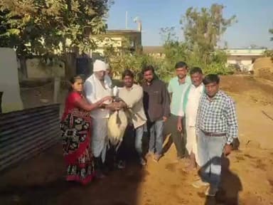 నిర్మల్: సోన్ మండలం మాదాపూర్ గ్రామంలో గొర్రెలు, మేకలకు ఉచిత నట్టల నివారణ మందు పంపిణీ చేసిన సర్పంచ్, పశువద్యాధికారి