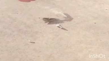 दर्यापूर: हंतोडा फाट्यावर टिप्परची दुचाकीला धडक; दुचाकीवरील युवक गंभीर जखमी