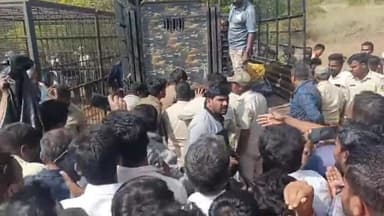 ಗುಂಡ್ಲುಪೇಟೆ: ದೇಪಾಪುರದಲ್ಲಿ ಬೋನಿಗೆ ಬಿದ್ದ ಹುಲಿ ನೋಡಲು, ಜನಸಾಗರ