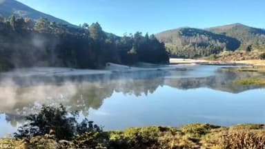 உதகமண்டலம்: பனித்துளிகளால் ரம்மியமாக காணப்படும் உதகை TR பஜார் பகுதிகள்