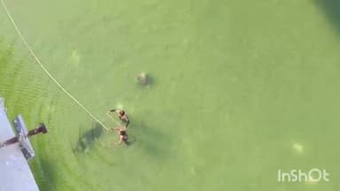 વડનગર: વલાસણા સાબરમતી નદીમાં પુરુષનો મૃતદેહ તરતો જોવા મળતા ચકચાર