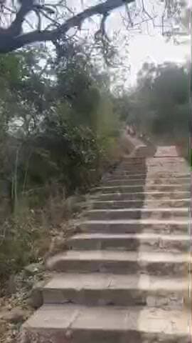 પાલીતાણા: શેત્રુંજય પર્વત પર યાત્રા કરવા જતા યાત્રાઓ માટે વન વિભાગ દ્વારા પત્રિકા અને સોશિયલ મીડિયાના માધ્યમથી જરૂરી સૂચનાઓ અપાય