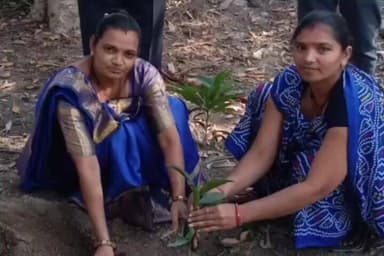 પાલીતાણા: નજરબાગ વિસ્તારમાં ભારત સરકારના શહેરી વિકાસ વિભાગ દ્વારા વૃક્ષારોપણ કાર્યક્રમ યોજાયો