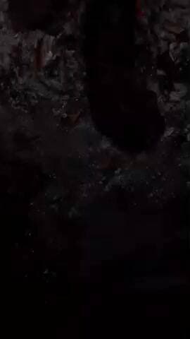 #up31 nighsan kheiri lakhimapur kheri