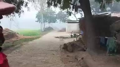 मीरापुर दामगनी बाभन पुर रोड का का विकास मांग रही जनता