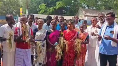 சிவகங்கை: கருகும் பயிர்களை கையில் ஏந்தி ஆட்சியரிடம் மனு அளித்த விவசாயிகள்”