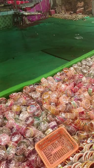 अगर मालवा न्यूज़ मेला बैजनाथ मेला