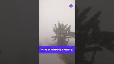 वैशाली जिला का आज का मौसम Vaishali Weather News #weatherupdate #vaishalinews #jandaha #mausam_news