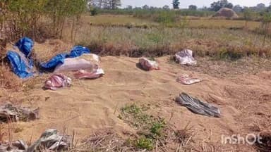 आरमोरी: नरोटीमाल येथे तस्कर हत्तीने शेतात मळणी करून ठेवलेले धानाचे 30 पोते केले नासधूस