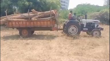 વડોદરા પૂર્વ: વડોદરા નજીકના તલસટ ગામના સરપંચ વૃક્ષ છેદન બદલ સસ્પેન્ડ