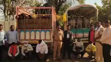 हदगाव: मनाठा पोलीसांनी अवैध गोवंश जनावरे वाहतुक करणारे 2 वाहनावर कारवाई करुन आरोपी विरुद्ध मराठा पोलीस ठाण्यात गुन्हा दाखल