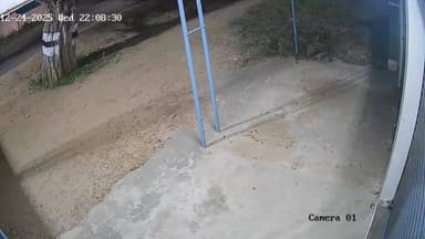 திருப்பத்தூர்: மாவட்ட ஆட்சியர் முகாம் அருகே பைக்கில் சென்ற வாலிபர் சாலையில் விழுந்து உயிரிழப்பு-சிசிடிவி காட்சி வெளியாகி பரபரப்பு