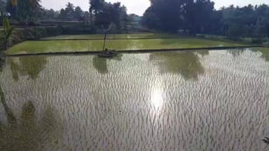 திருப்பத்தூர்: அரசு வட்டம் பகுதியில் வனத்துறையினருக்கு சொந்தமான இடத்தில் இறை தேடிச் சென்ற கோழியை தனக்கு சொந்தமான இடம் எனக்கூறி விஷம் வைத்துக் கொன்ற நபர்கள்