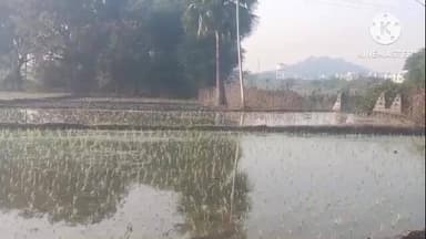 బాల్కొండ: చలి తీవ్రత సందర్భంగా భీంగళ్లో అన్నదాతల కష్టాలు