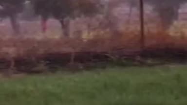 फतेहपुर: फतेहपुर शेखावाटी के बीहड़ में लेपर्ड का नजर आया मूमेंट, सावधान रहने की की गई अपील