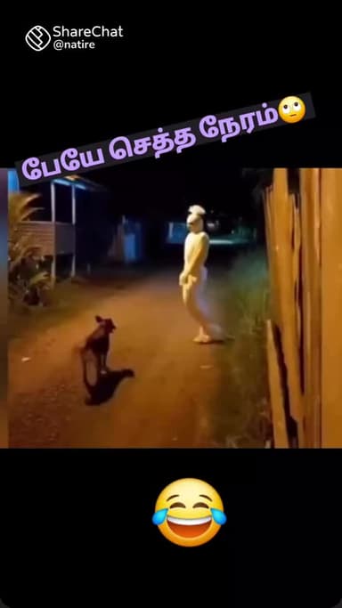 திருப்பத்தூர்: தூய நெஞ்சக் கல்லூரியில் சடுகுடு இரண்டாவது நாள் கபடி போட்டி நடைபெற்றது