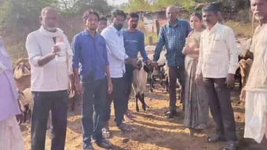 జుక్కల్: అవల్గావ్ గ్రామంలో నట్టల నివారణ మందులు పంపిణీ, ఈనెల 31 వరకు గ్రామాల వారిగా కార్యక్రమం : వెటర్నరీ అసిస్టెంట్ సునీత