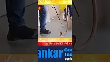 उपजिल्हा रुग्णालयात निघाला साप