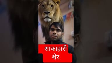 #news #samajwadimedia #motivation #samajwadidharmendra #bhojpurimusic #latestnews #love #hindinews