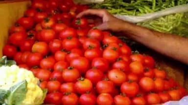 कपासन: बूंदी जिले में किसानों की मेहनत को मिलेगा सुरक्षा कवच: टमाटर से आम तक उद्यानिकी फसलें अब बीमा सुरक्षा में होंगी शामिल