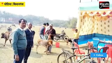 पोठिया: प्रखंड अंतर्गत बक्सा में पशु बांझपन निवारण शिविर, सैकड़ो पशुओं की हुई जांच
#AnimalHusbandry #VeterinaryCamp #Catt...