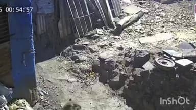 ठाणे: वागळे इस्टेट परिसरामध्ये बिबट्याचा वावर, घटना सीसीटीव्हीमध्ये कैद, व्हिडिओ वायरल