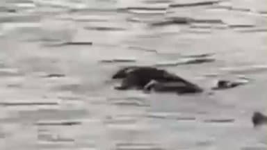 जोधपुर: गुलाब सागर तालाब में कूदकर एक युवक ने जान दी, सदर कोतवाली थाना पुलिस आत्महत्या के कारणों की जांच में जुटी