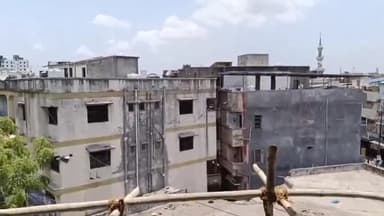 અંકલેશ્વર: અંકલેશ્વર નગર પાલિકા દ્વારા રખડતા શ્વાનનોનું ખસિકરણ અભિયાન ટૂંક સમયમાં હાથ ધરવાનો નિર્ણય લીધો છે.