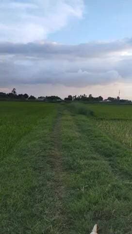 sarsi deeh 🛣️🏠 कब बनेगी रोड हमारे यहां बहुत दिक्कत होती है प्रदेश सरकार, प्रतापगढ़ की सरकार से विनती है जल्दी से जल्दी