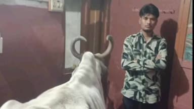 ગોધરા: ગેની પ્લૉટ વિસ્તારમાં ગૌવંશ કતલની તૈયારી વખતે જ ગૌરક્ષક સ્ક્વોડ પોલીસની રેઇડ, એક આરોપી ઝડપાયો, મુખ્ય આરોપી ફરાર