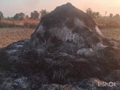 पोंभूर्णा: अज्ञात इसमाने पेटविला धानाचा पूजन शेतकऱ्याचे लाखोचे नुकसान