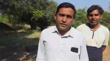 નસવાડી: જેમલગઢ ગામમાં આલિયાઘોડા ફળિયામાં નલ સે જલ યોજનામાં બનાવવામાં આવેલી બે પાણીની ટાંકી અને નળ શોભાના ગાંઠિયા સમાન