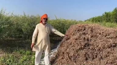 मोर्शी: शेतात जाणारा रस्ता दुरुस्त नसल्याने विष्णोरा येथील शेतकरी आक्रमक, शेतकऱ्यांनी दिली प्रतिक्रिया