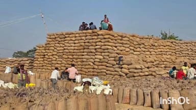 लखनपुर: सरगुजा जिले के 54 धान उपार्जन केंद्रों में 4938 किसानों ने किया 12,64,694.8 क्विंटल धान की खरीदी और रकबा समर्पण