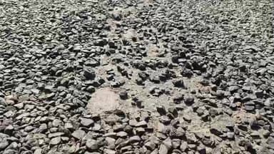 बुरहानपुर नगर: बोहरडा मार्ग पर घटिया क्वालिटी के पेचवर्क का ग्रामीणों ने किया विरोध