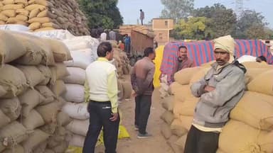 मझौली: गिजवार धान खरीदी केंद्र में बोरियों की कमी से किसान परेशान, खरीदी बंद: समिति प्रबंधक