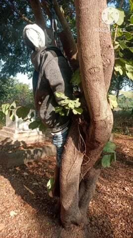 బాల్కొండ: గూపన్ పల్లి శివారులో అనారోగ్య సమస్యలతో చెట్టుకు ఉరి వేసుకొని ఒ వ్యక్తి ఆత్మహత్య