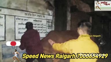 सांड ने गौ सेवक को सींग से ऊपर उठादे पटका,बजरंग दल ने नंदी का किया इलाज #cow #cows #cowvideos #cg