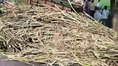 पैठण: भरधाव हायवाच्या धडकेत ऊस वाहतूक करणारा बैल गंभीर जखमी