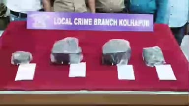 करवीर: व्हेल माशाची उल्टी विक्रीसाठी आणलेल्या तिघांना कणेरीवाडी येथे अटक, ५ कोटी २४ लाखांचा मुद्देमाल जप्त