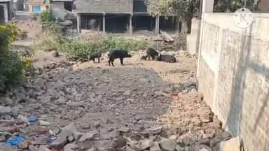 मिरज: आरगमध्ये महिला सक्षमीकरणाला ग्रामसेवकाचा 'ब्रेक'; प्रशिक्षक कलगोंडा पाटील यांचा आमरण उपोषणाचा इशारा.