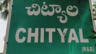 భూపాలపల్లి: జడల్ పేట శివారు భీష్మ నగర్ అటవీ ప్రాంతంలో పెద్దపులి సంచారం, ఎద్దు పై దాడి చేసి చంపిన పెద్దపులి
