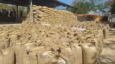 शहपुरा: धान उपार्जन केंद्र क्रमांक 2 में 419 किसानों से 16,346 क्विंटल धान की खरीदी हुई