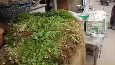 గుంతకల్లు: గుత్తిలో పడిపోయిన కొత్తిమీర ధరలు, కొత్తిమీర కట్ట కేవలం ఐదు రూపాయలే