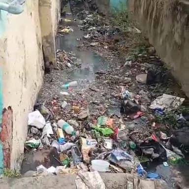 శింగనమల: నార్పల మండల కేంద్రంలోని పంచాయతీ అధికారులు పట్టించుకోవడంలో పూర్తిగా కాలనీవాసులు తెలిపారు