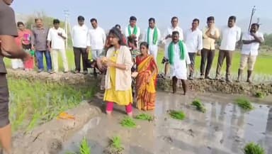 శింగనమల: సింగనమల పంట పొలాల్లో వరి నాట్లు వేసిన ఎమ్మెల్యే బండారు శ్రావణి రైతుగా మారిన ఎమ్మెల్యే బండారు శ్రావణి