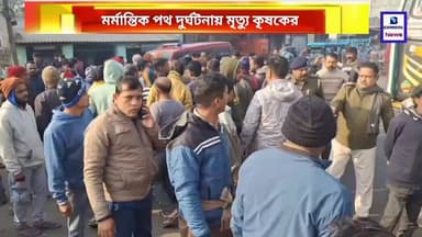 মর্মান্তিক পথ দুর্ঘটনায় মৃত্যু বেলিয়াতোড়ে