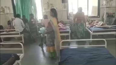 सेलू: लक्कडकोट परिसरात सोळा वर्षाच्या तरुणीवर वानराच्या टोळीचा हल्ला, तरुणीवर नांदेड येथे उपचार सुरू